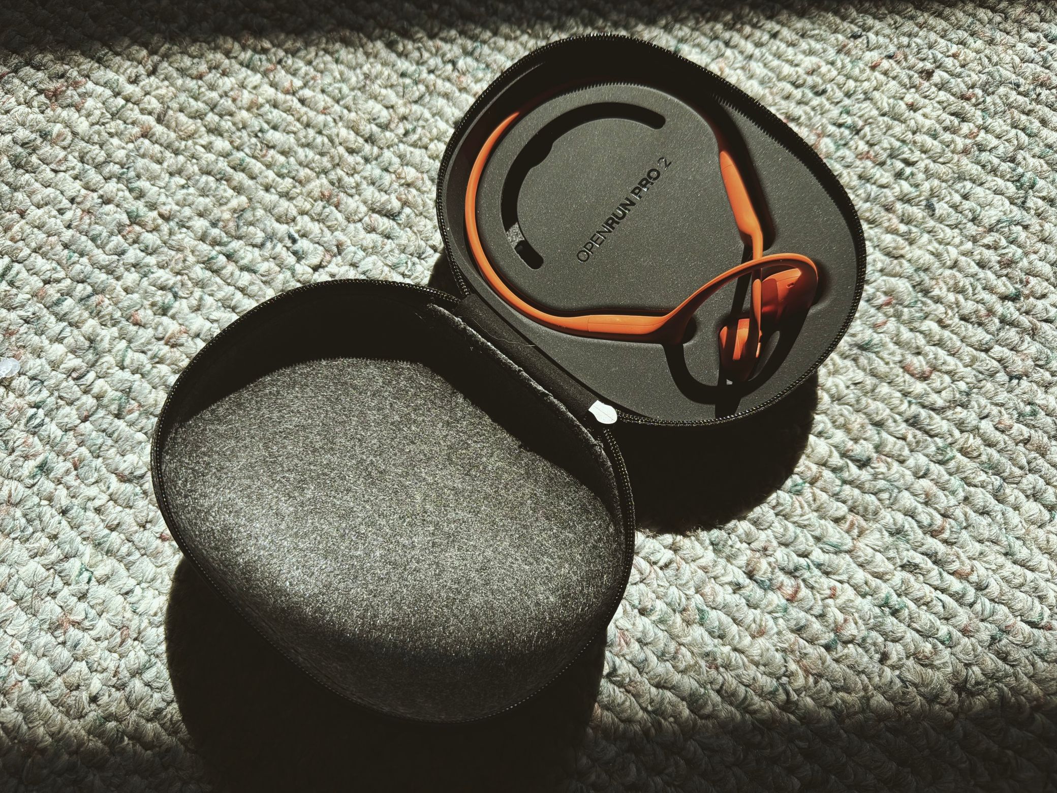 carrying case