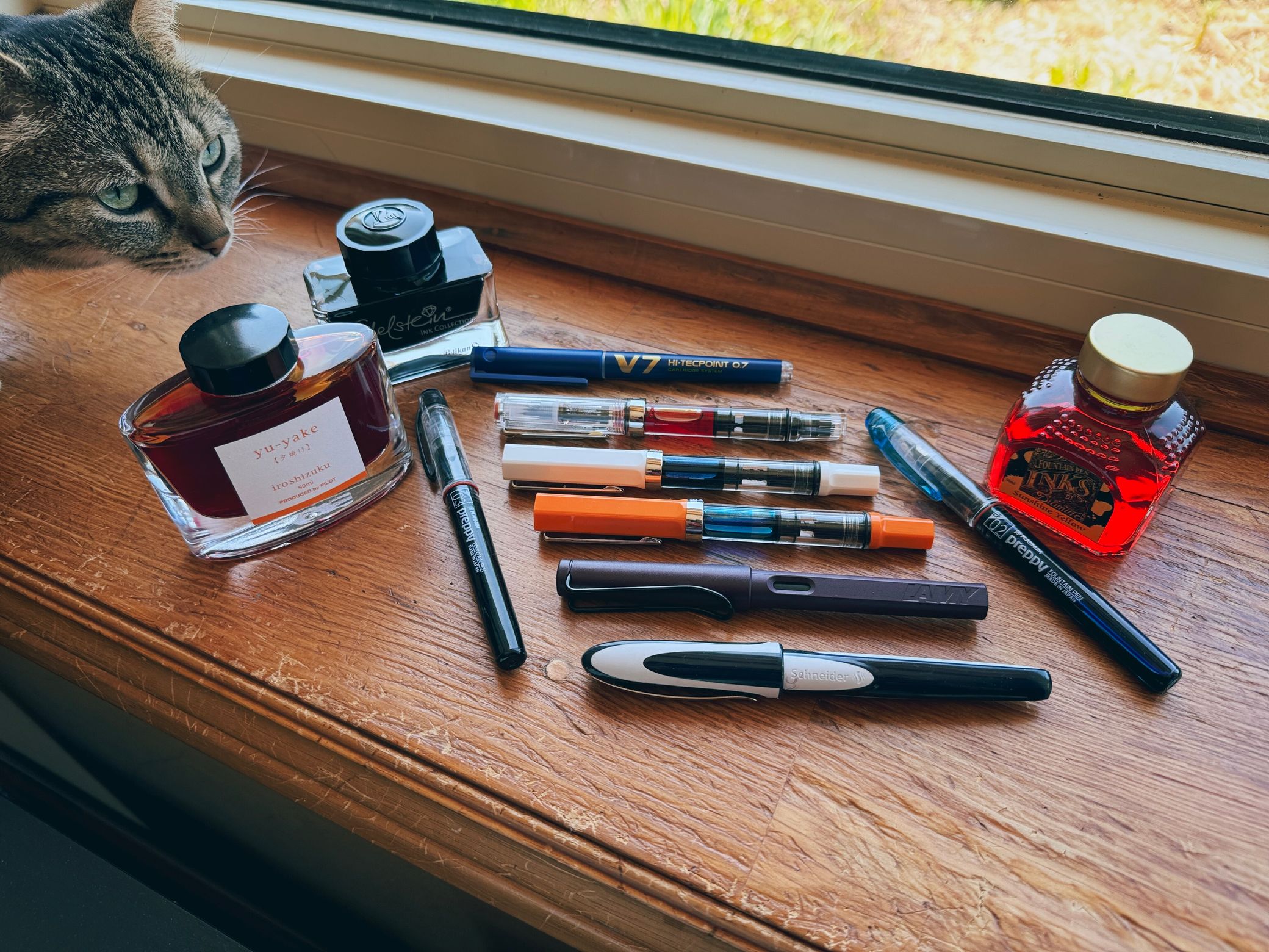It's not hoarding if you use them. Cat for scale. My pen collection