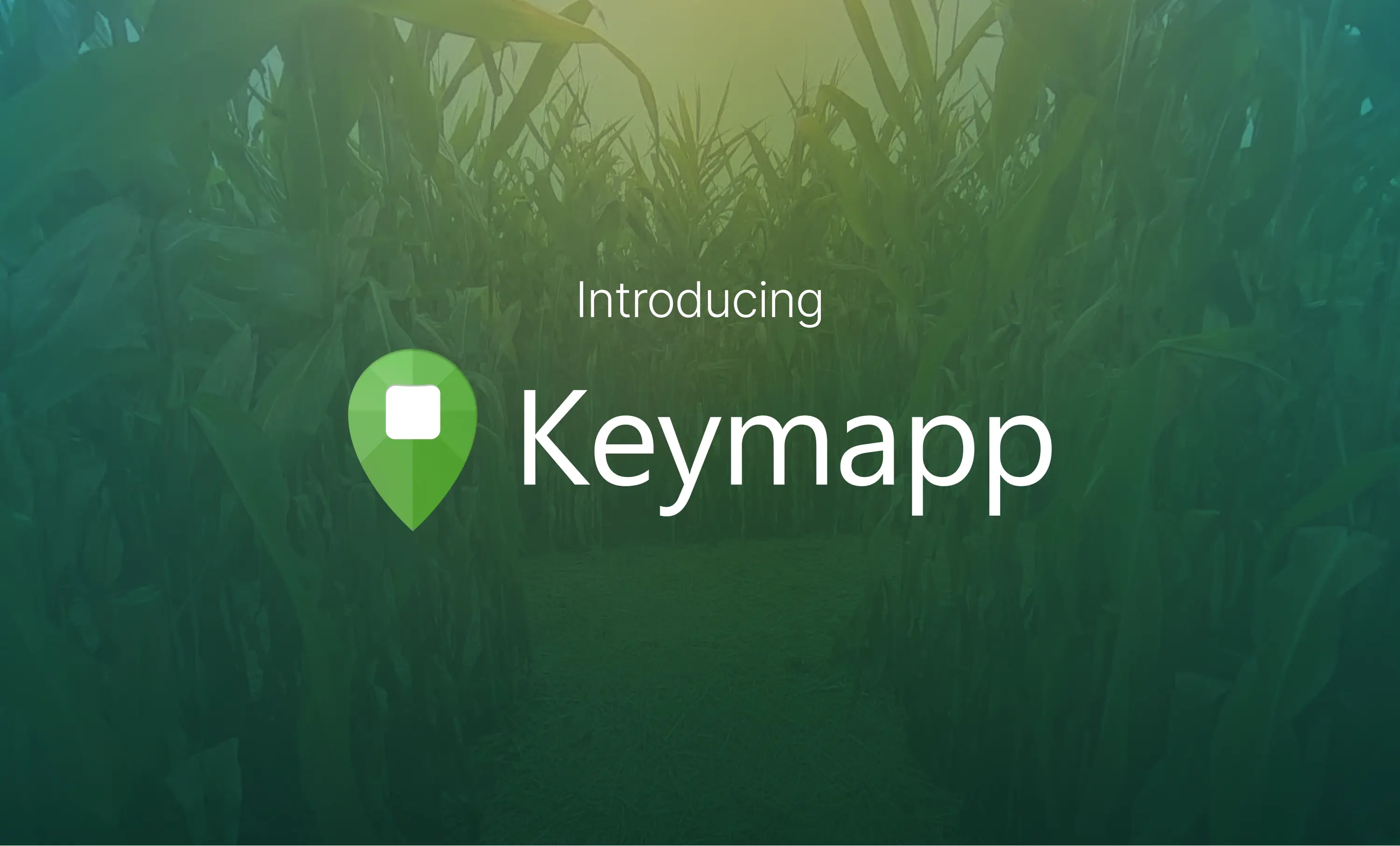 Introducing Keymapp