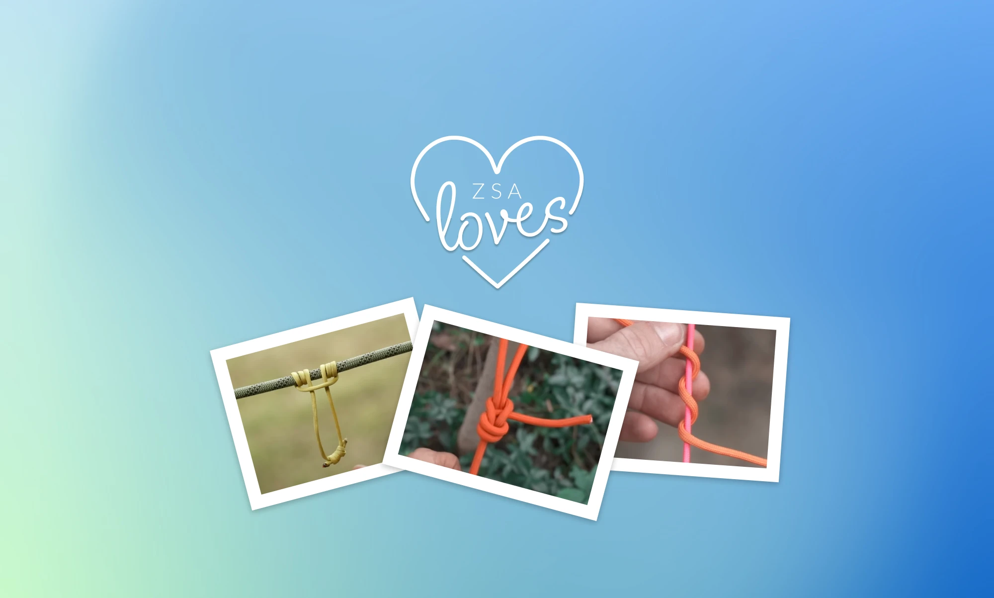 ZSA Loves: Knots