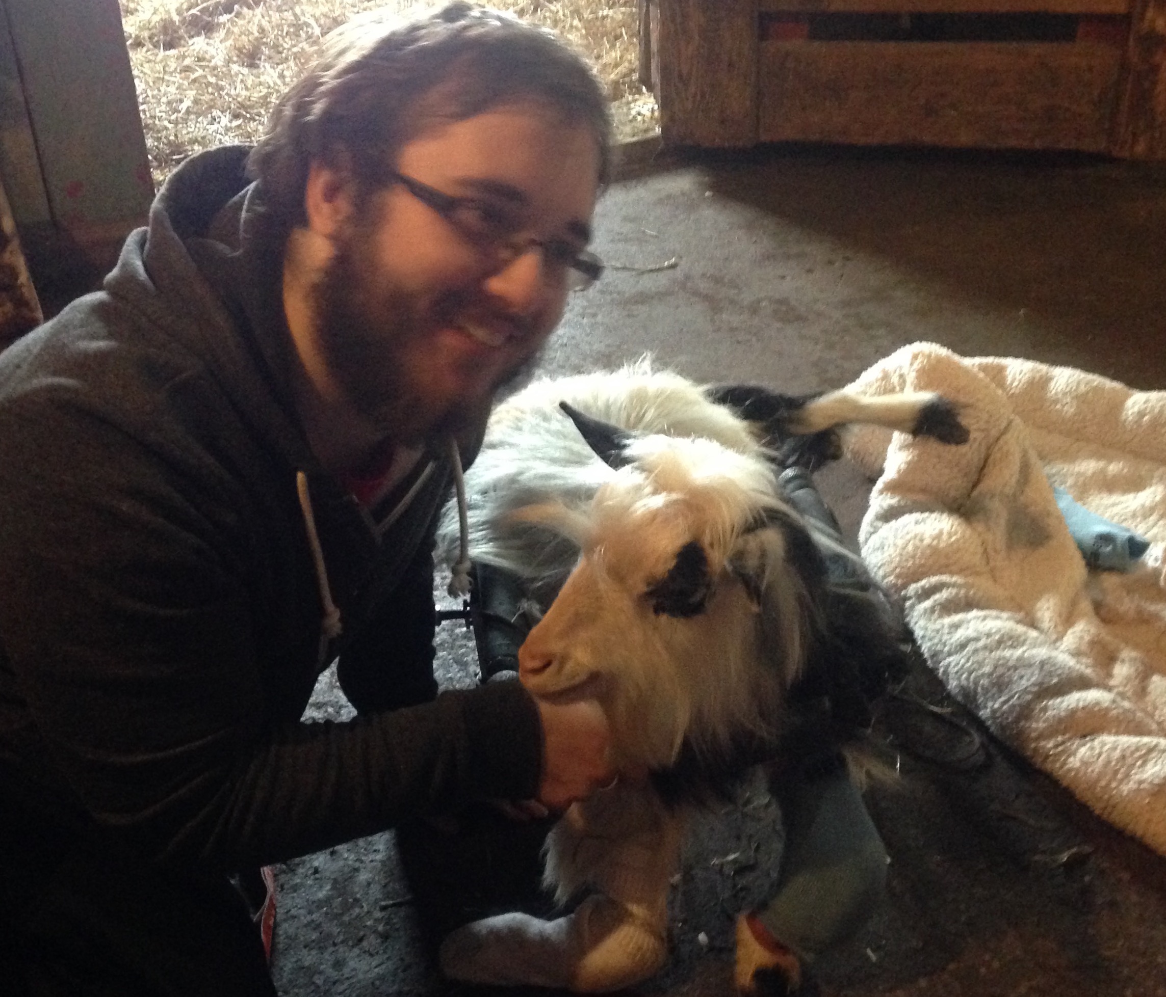 Younger Robin posting with a goat